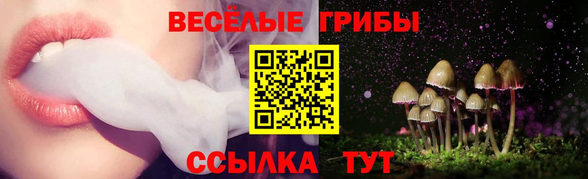 Белово  Галлюциногенные грибы мухоморы  Галлюциногенные грибы прущие грибы  Вход с VPN 